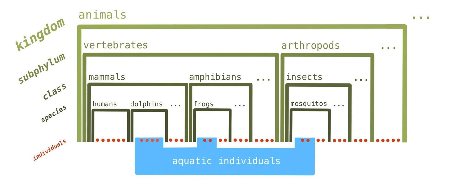 The category of “aquatic” animals respects none of the Linnaean divisions.