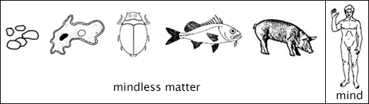 Divide between “mindless matter” (rocks, plants, animals...) and mindful matter (humans).